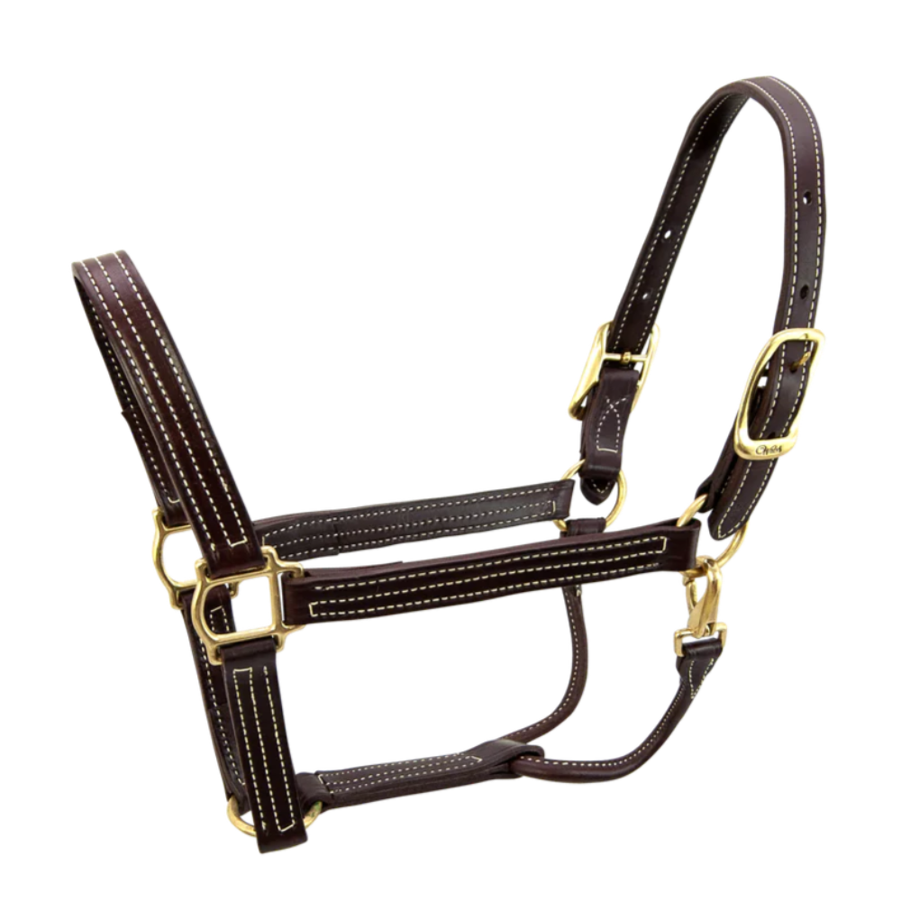 Walsh British Halter with Throat Snap - Havana & Brass