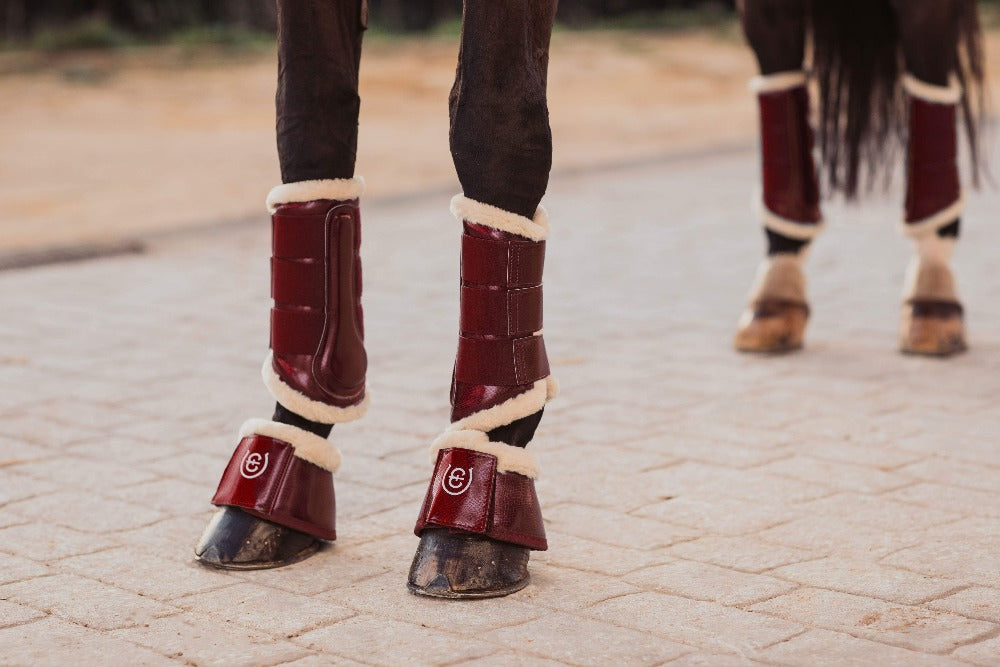 Bordeaux bell boots on horse 