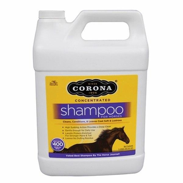Corona Shampoo