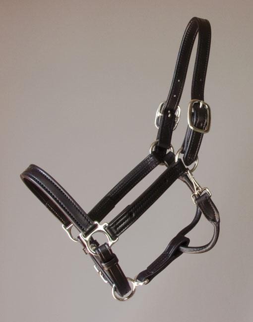 Walsh British Halter with Throat Snap - Havana & Chrome