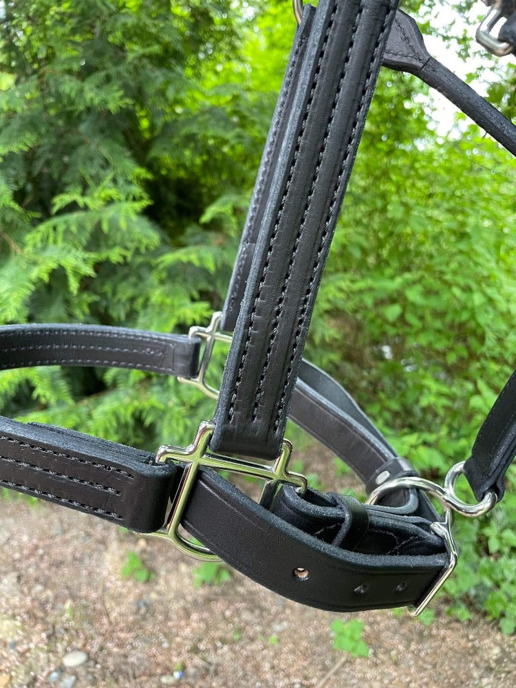 perris premium leather halter - black, triple stitched