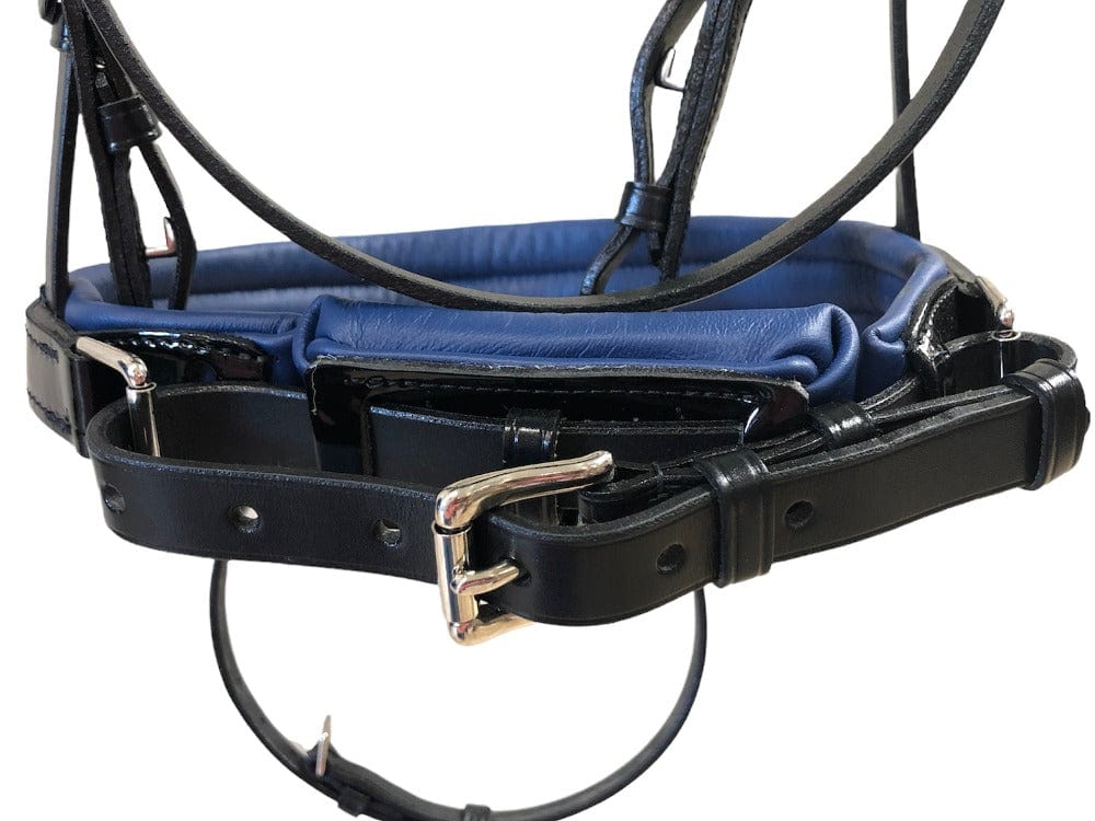 Otto Schumacher Tokyo Snaffle Bridle with Black Patent and Blue Fineline - Horse