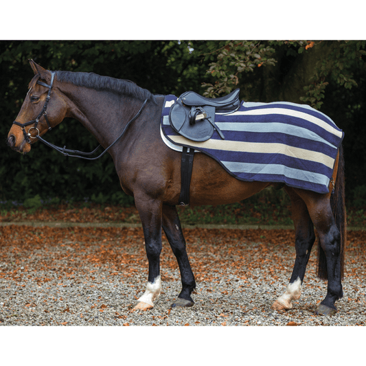 rambo newmarket competition sheet navy
