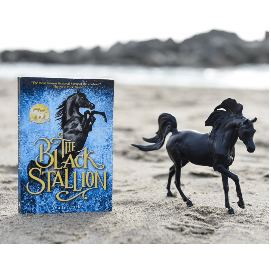 Breyer Black Stallion Book Set
