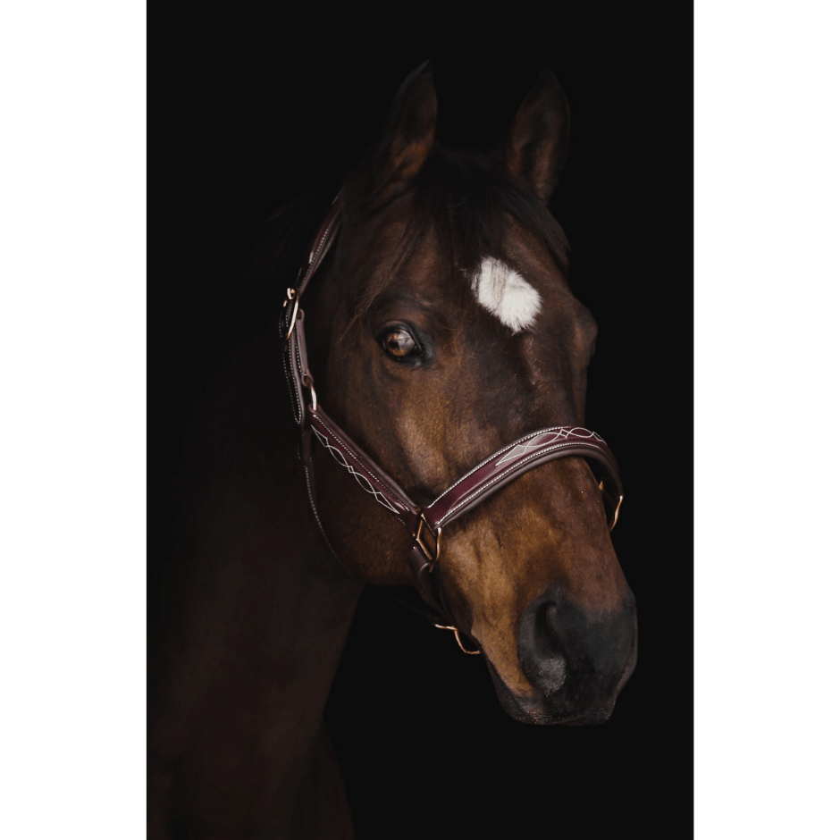 Pup & Pony Grand Prix Patent Leather Halter with Fancy Stitching - Espresso