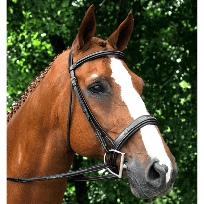 Red Barn Tryon Fancy Stitch Bridle