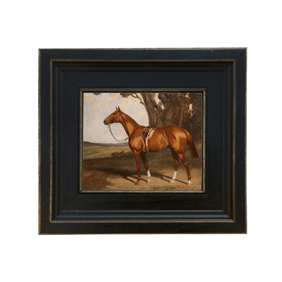 Framed print of a chestnut racehorse 