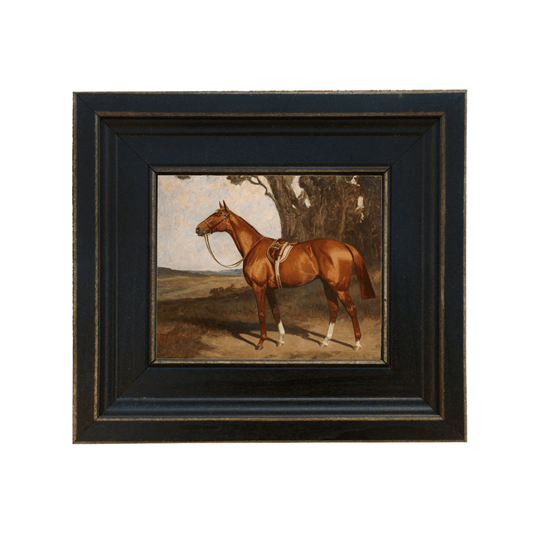 Framed print of a chestnut racehorse 