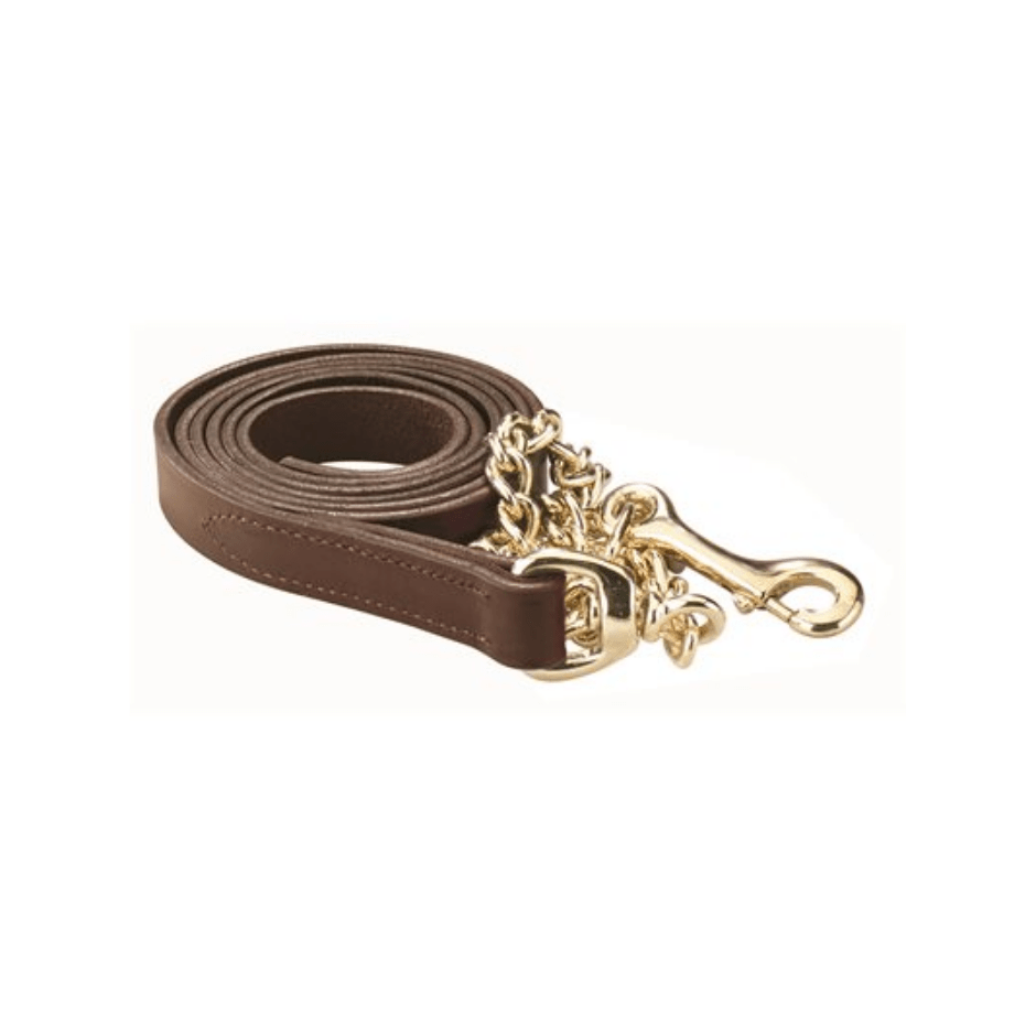 Perri's Leather Lead with Chain