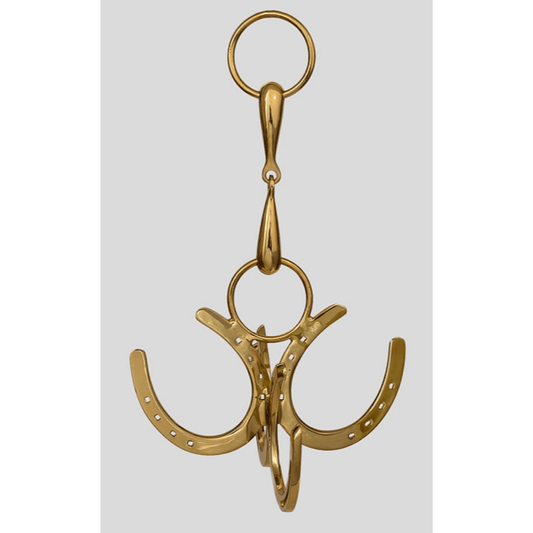 brass horseshoe tack cleaning hook