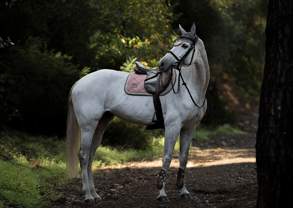 Equestrian Stockholm Ear Bonnet - Dusty Pink