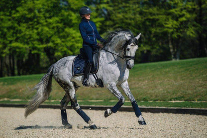 equestrian stockholm dressage pad - royal blue on grey horse