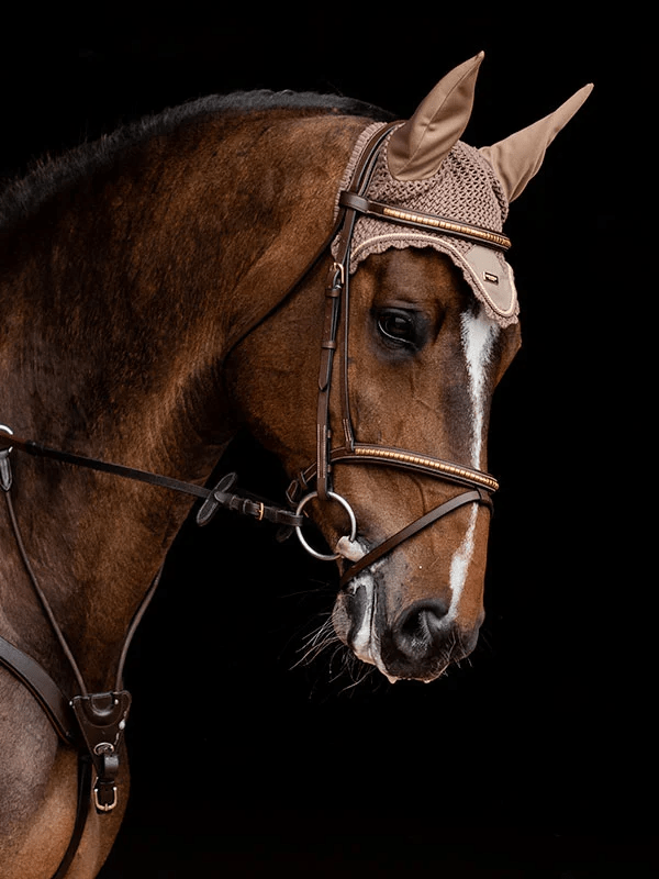 equestrian stockholm ear bonnet - champagne on bay horse