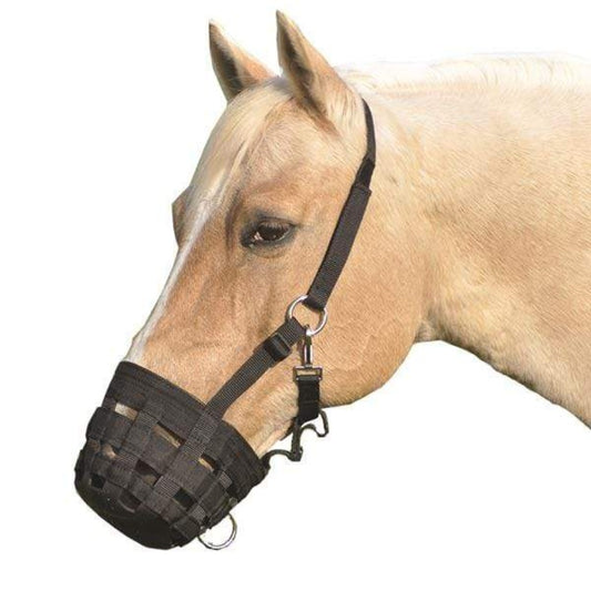 cashel grazing muzzle halter - black on palomino horse