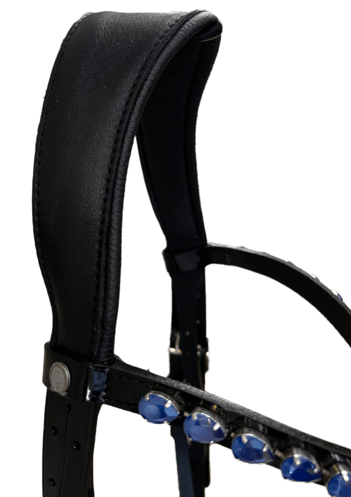 Otto Schumacher Tokyo Snaffle Bridle with Black Patent and Blue Fineline