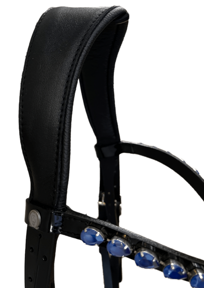 Otto Schumacher Tokyo Snaffle Bridle with Black Patent and Blue Fineline