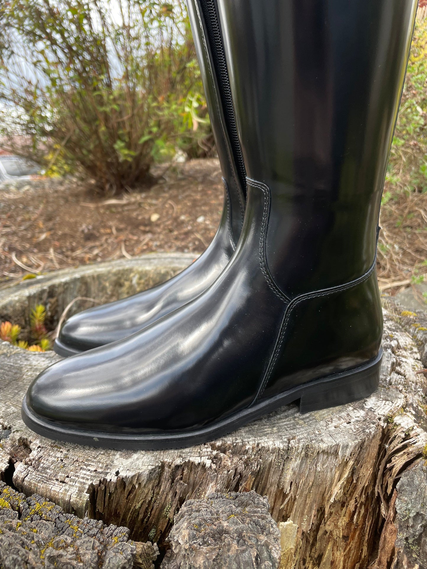 Kingsley Capri 02 Boot - Polished Black with Studs