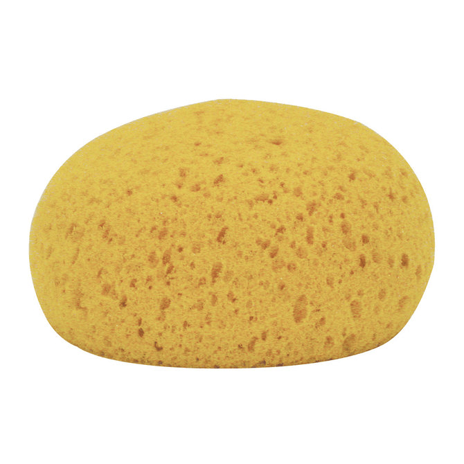 Round Tack Sponge