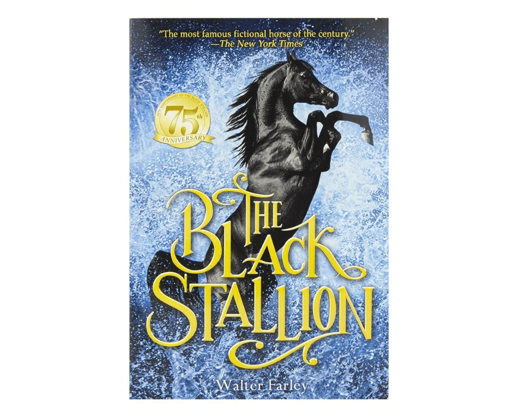 Breyer Black Stallion Book Set